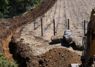 vineyard-gallery-irrigation